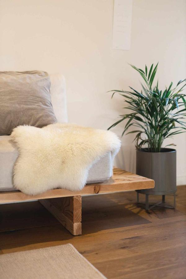 Cal Ouaire House Lohodihomes Viladesens 외부 사진
